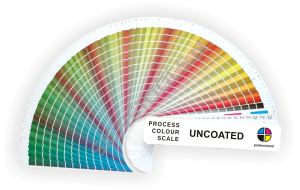 CMYK Process Scale - Niepowlekany